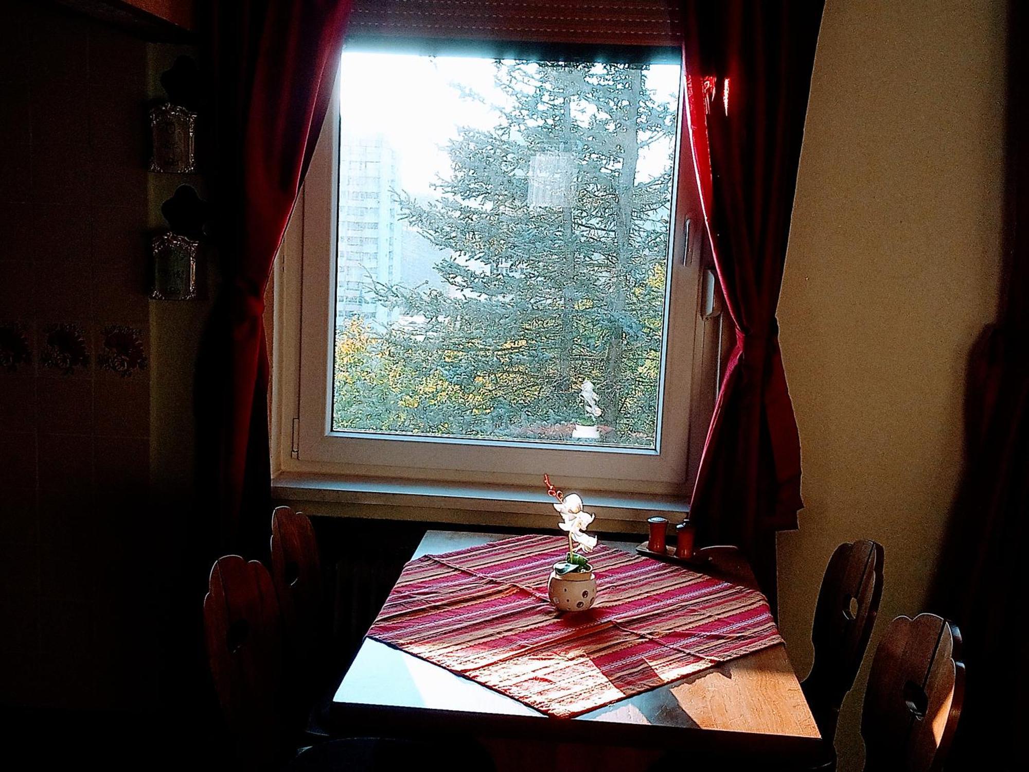 Apartment Endora Im Harzer Stil, Handgefertigte Moebel - Wlan-garage *